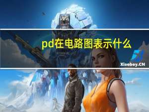 pd在电路图表示什么