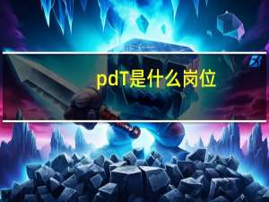 pdT是什么岗位