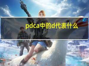 pdca中的d代表什么