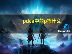 pdca中的p指什么