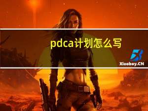 pdca计划怎么写