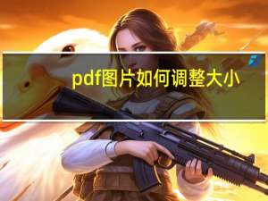 pdf图片如何调整大小