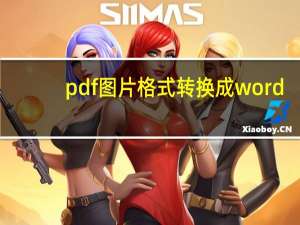 pdf图片格式转换成word（图片格式转换成word）