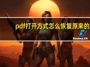 pdf打开方式怎么恢复原来的（pdf打开方式怎么设置）