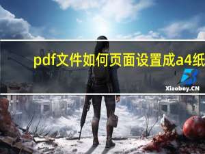 pdf文件如何页面设置成a4纸（假设pdf页面大小为A4 有什么办法能调整为B5）