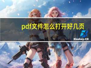 pdf文件怎么打开好几页（pdf文件怎么打开）