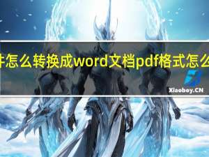 pdf文件怎么转换成word文档 pdf格式怎么转换成word
