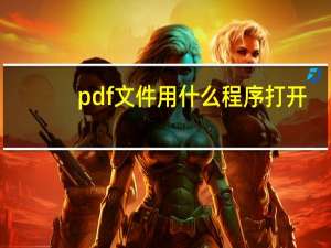 pdf文件用什么程序打开