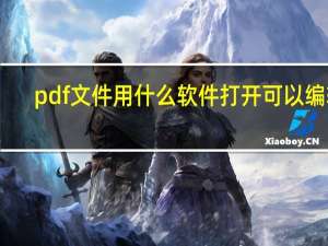 pdf文件用什么软件打开可以编辑（pdf文件用什么软件打开）