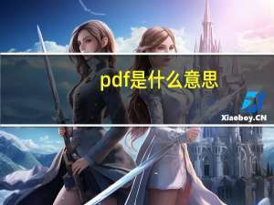 pdf是什么意思