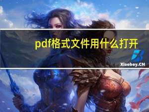 pdf格式文件用什么打开（pdf的格式怎么打开）