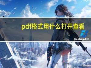 pdf格式用什么打开查看（pdf格式用什么打开）