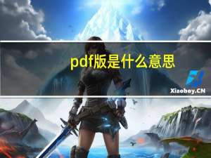pdf版是什么意思