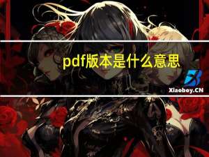 pdf版本是什么意思