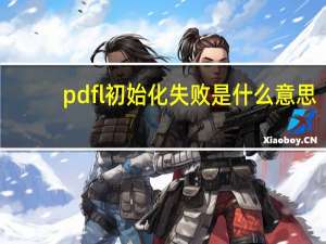 pdfl初始化失败是什么意思（pdfl初始化失败）