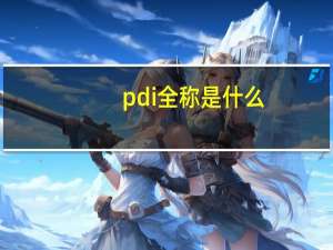 pdi全称是什么