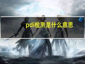 pdi检测是什么意思