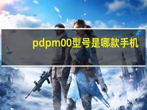 pdpm00型号是哪款手机（pdpm00）