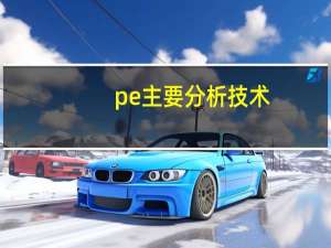 pe主要分析技术（pe工程师分析手法）
