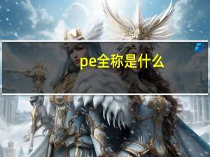 pe全称是什么