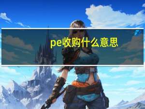 pe 收购什么意思