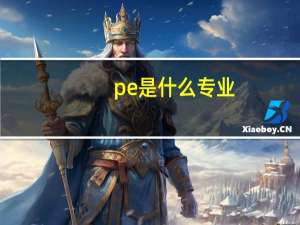 pe是什么专业