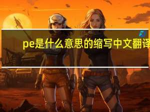 pe是什么意思的缩写中文翻译（pe是什么意思的缩写）