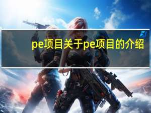 pe项目 关于pe项目的介绍