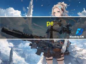 pe（关于pe的介绍）