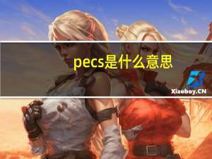 pecs是什么意思