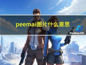 peemai图片什么意思（peemai）