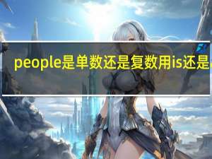 people是单数还是复数用is还是are