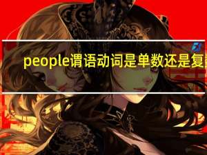 people谓语动词是单数还是复数