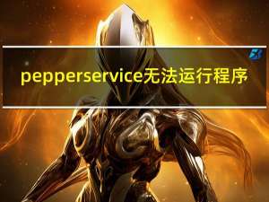 pepper service无法运行程序