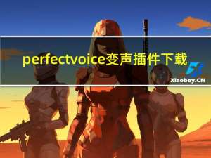 perfectvoice变声插件下载（perfect time）