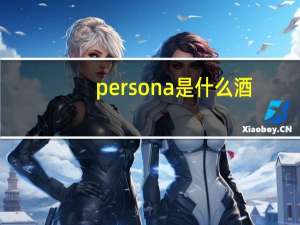 persona是什么酒