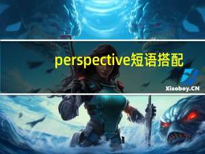 perspective短语搭配