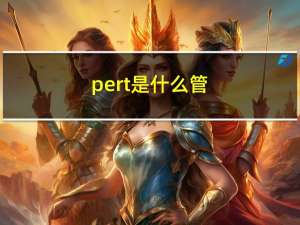 pert是什么管（PERT是什么）