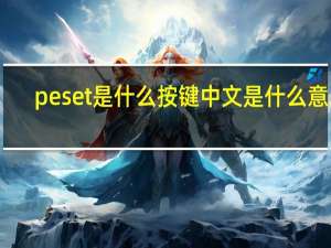 peset是什么按键中文是什么意思