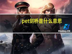 pet剑桥是什么意思