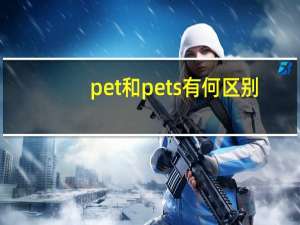 pet和pets有何区别