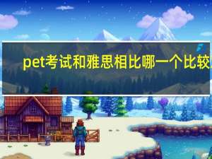 pet考试和雅思相比哪一个比较难