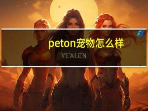 peton宠物怎么样