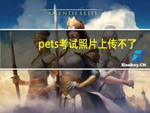 pets考试照片上传不了