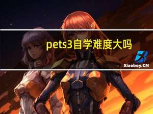 pets3自学难度大吗