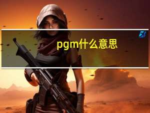 pgm什么意思（pgm）