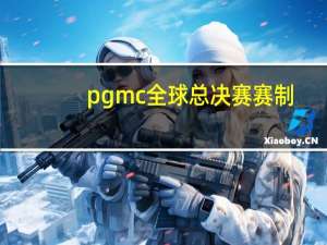 pgmc全球总决赛赛制