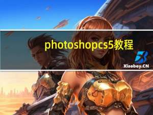 photoshop cs5 教程（photoshop cs5 序列号）