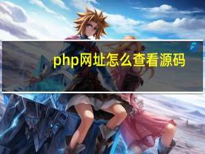 php网址怎么查看源码