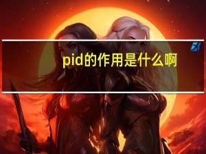 pid的作用是什么啊